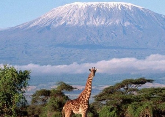 Gunung Kilimanjaro adalah salah satu destinasi safari paling terkenal di dunia yang berada di Tanzania